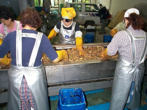 A group of people in yellow gloves cooking food.