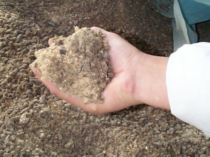 A person holding dirt in their hand.