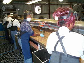 A group of people standing around a counter.